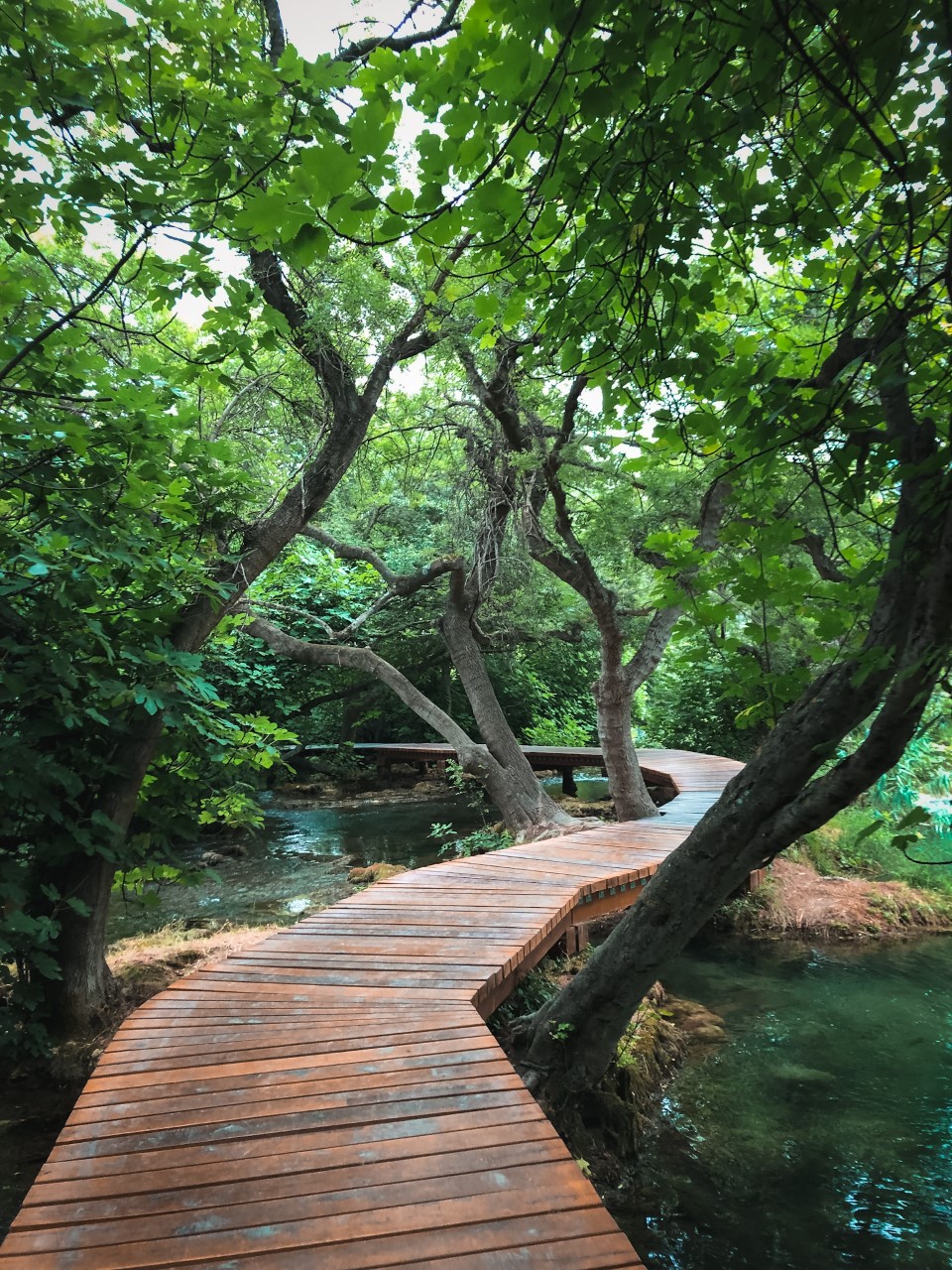 Sentier découverte du Parc de Krka, côté Lovozac
